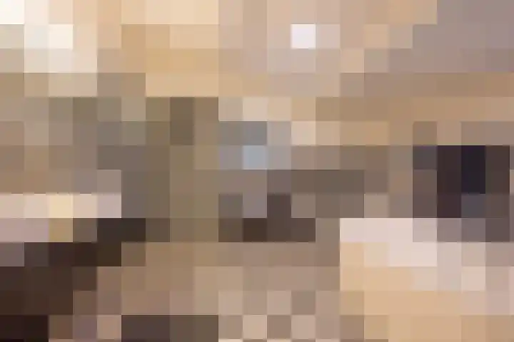 Angeler 4 Nijkerk thumbnail 26