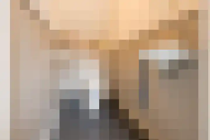 Angeler 4 Nijkerk thumbnail 43