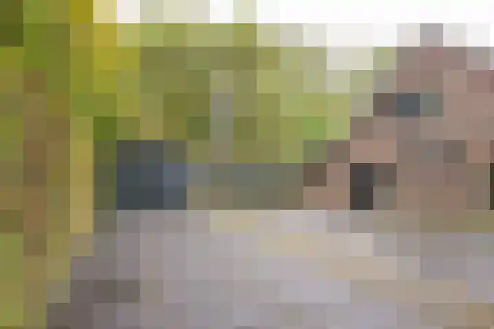 Angeler 4 Nijkerk thumbnail 46
