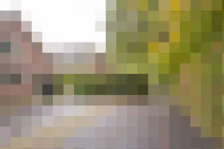 Angeler 4 Nijkerk thumbnail 47
