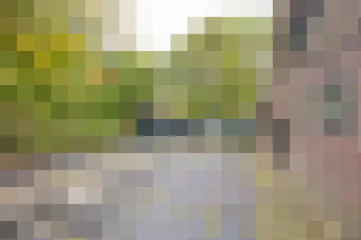 Angeler 4 Nijkerk thumbnail 48