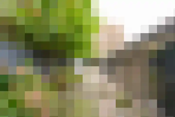 Angeler 4 Nijkerk thumbnail 49
