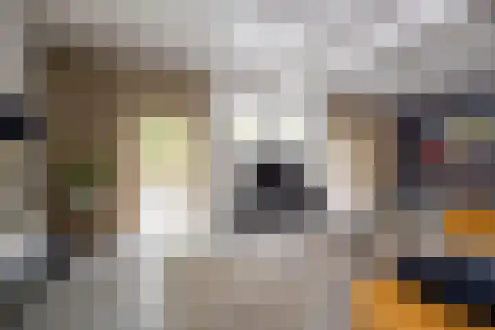 Angeler 4 Nijkerk thumbnail 5