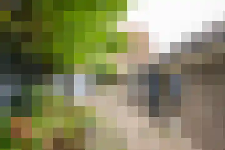 Angeler 4 Nijkerk thumbnail 50