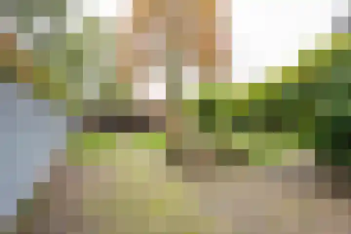 Angeler 4 Nijkerk thumbnail 51