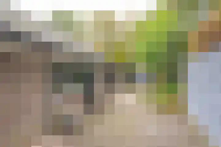 Angeler 4 Nijkerk thumbnail 52