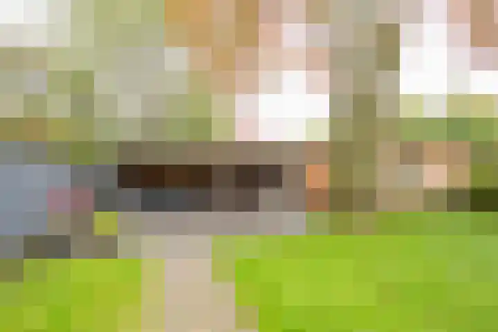 Angeler 4 Nijkerk thumbnail 53