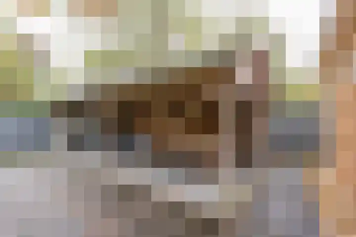 Angeler 4 Nijkerk thumbnail 54