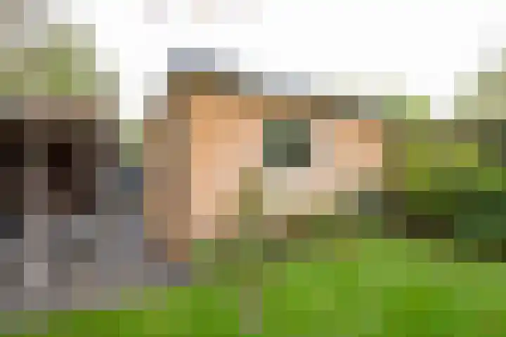 Angeler 4 Nijkerk thumbnail 57