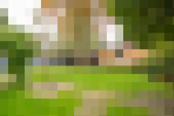 Angeler 4 Nijkerk thumbnail 58