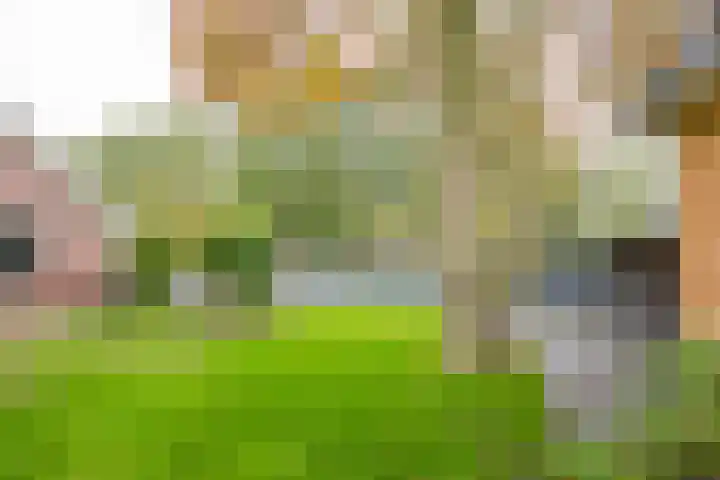 Angeler 4 Nijkerk thumbnail 65