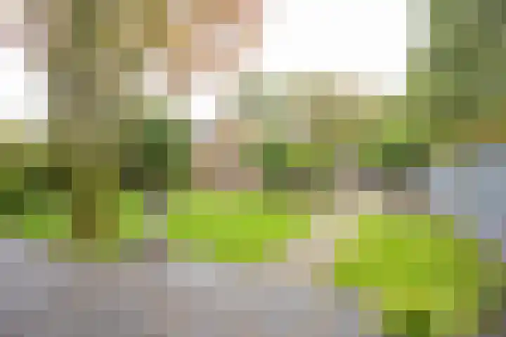 Angeler 4 Nijkerk thumbnail 66
