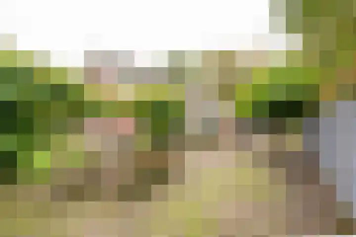 Angeler 4 Nijkerk thumbnail 67
