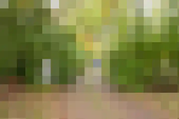Angeler 4 Nijkerk thumbnail 69