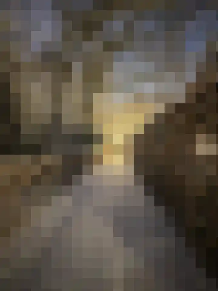 Angeler 4 Nijkerk thumbnail 72