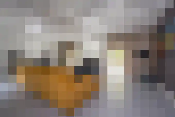 Angeler 4 Nijkerk thumbnail 8