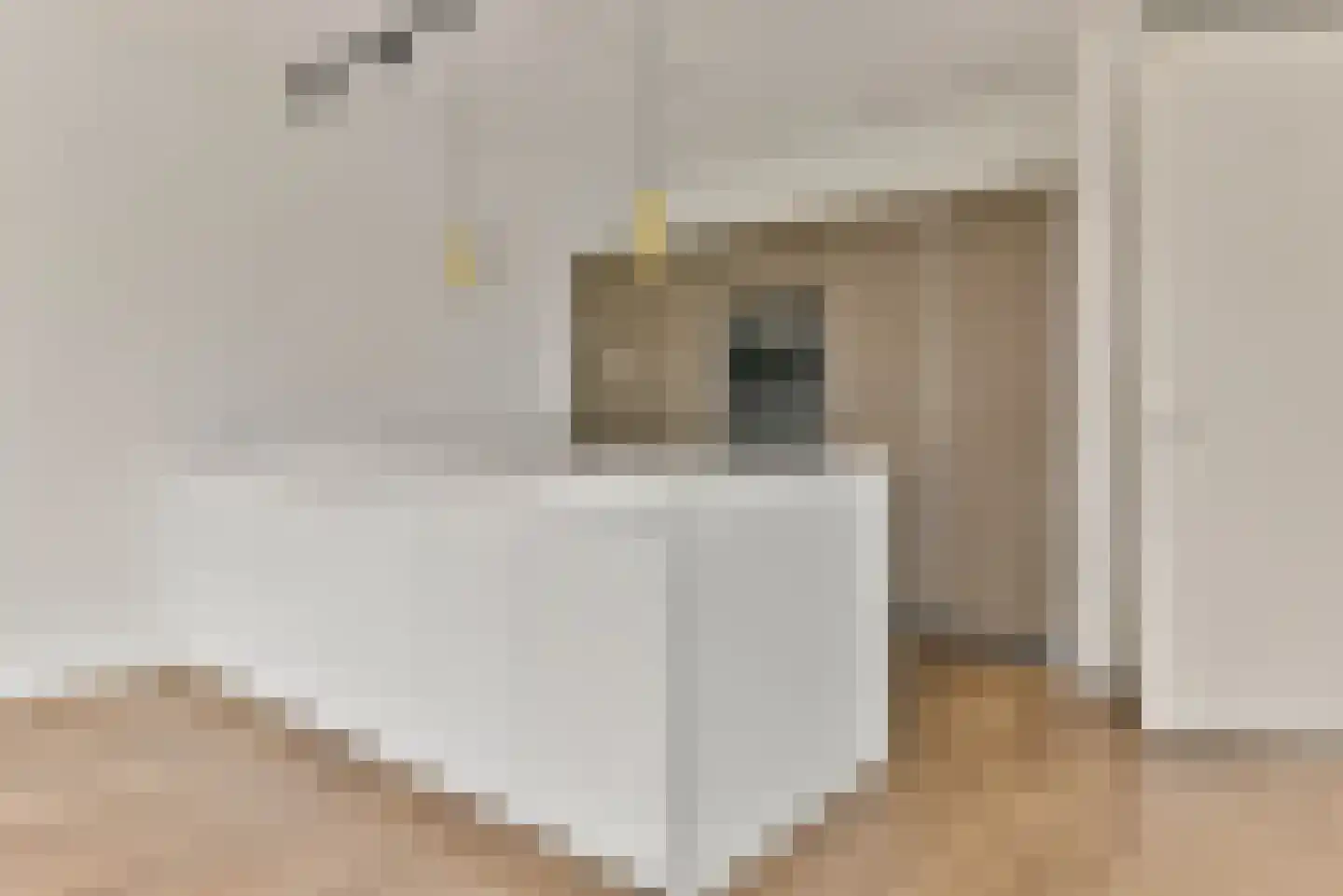 Angelinapolder 32 Amersfoort thumbnail 15
