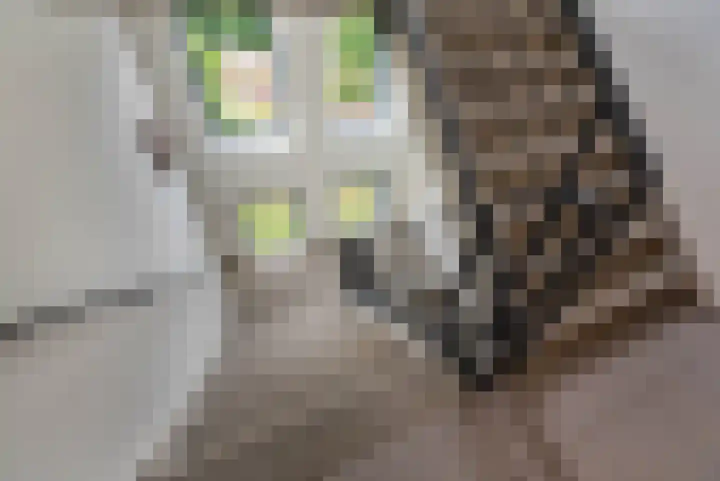 Angelinapolder 32 Amersfoort thumbnail 5