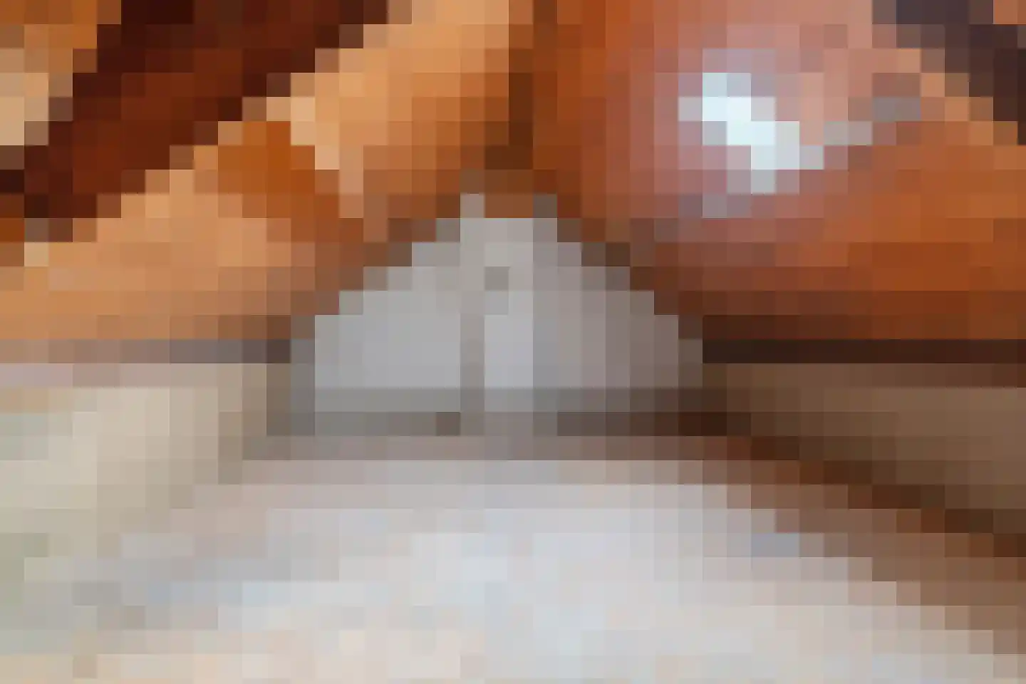 Angelotstede 6 Cuijk thumbnail 30