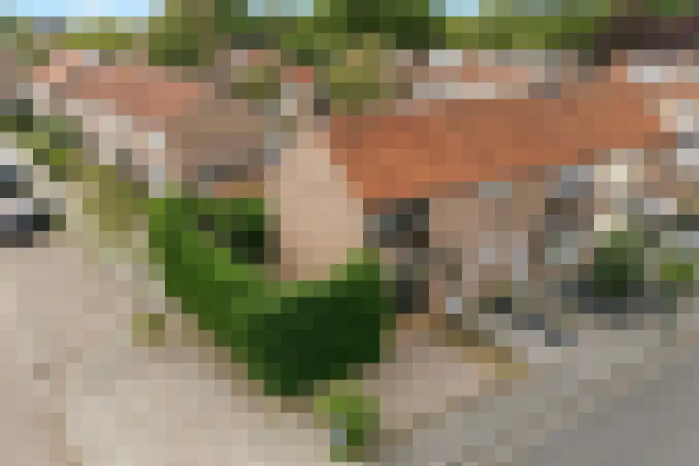 Angelotstede 6 Cuijk thumbnail 39
