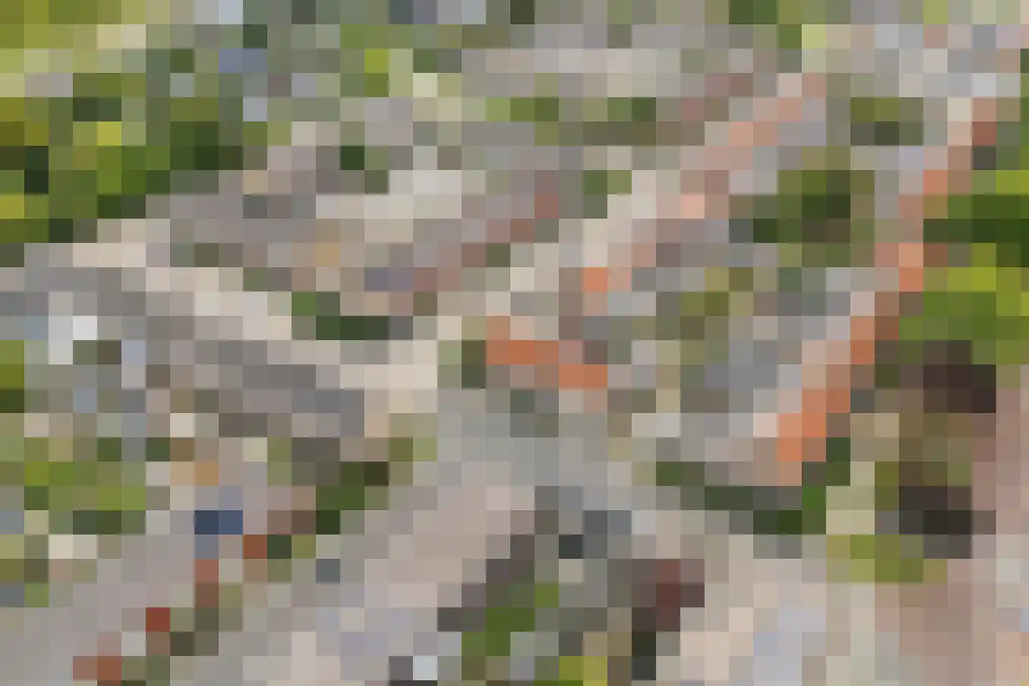 Angelotstede 6 Cuijk thumbnail 46