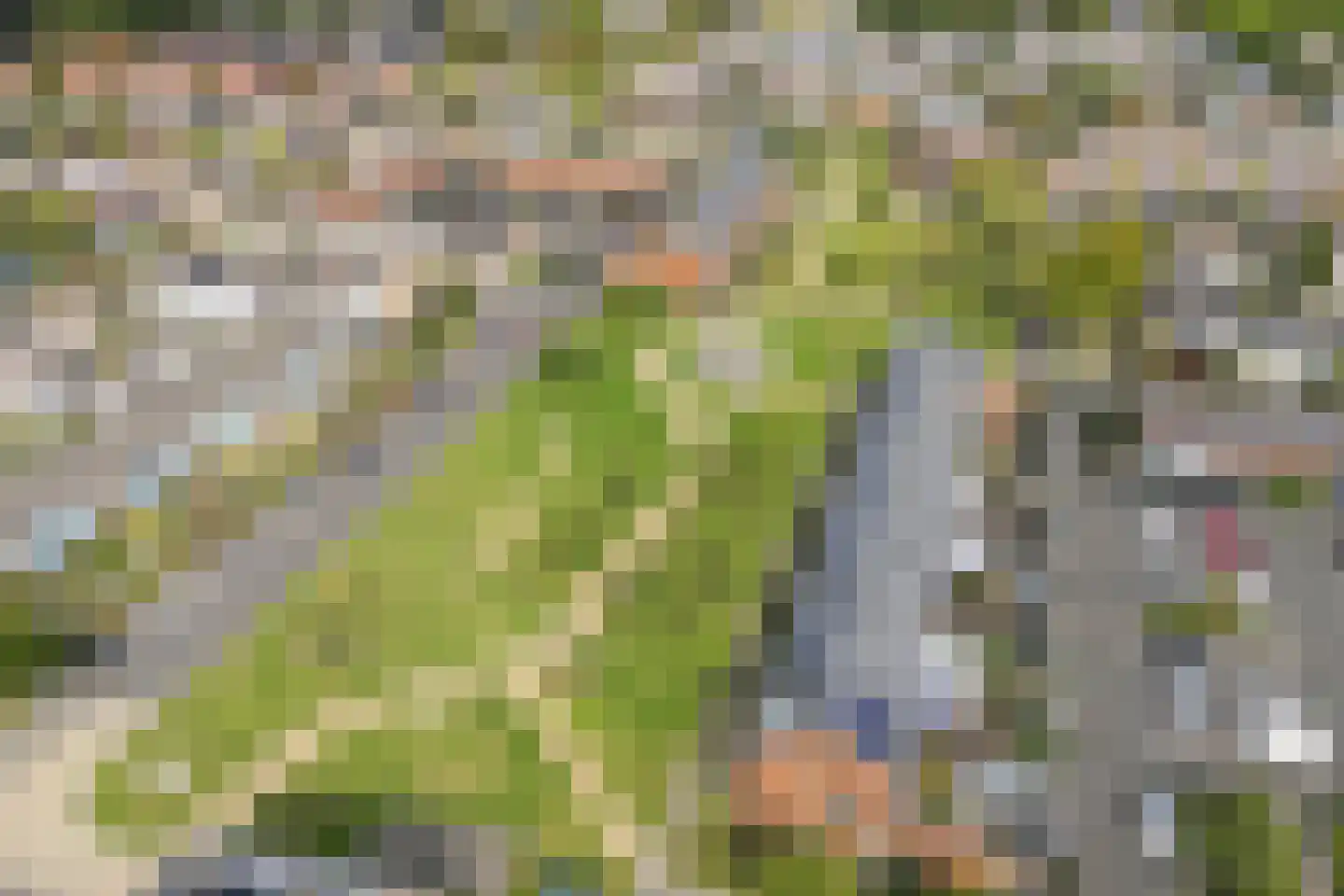 Angelotstede 6 Cuijk thumbnail 49