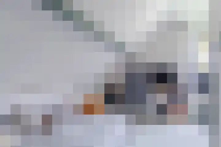 Angerensestraat 30 Gendt thumbnail 25