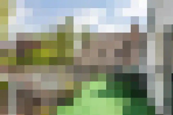 Angerensestraat 30 Gendt thumbnail 27