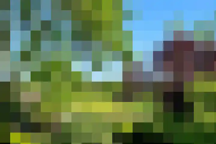 Angerensestraat 30 Gendt thumbnail 28