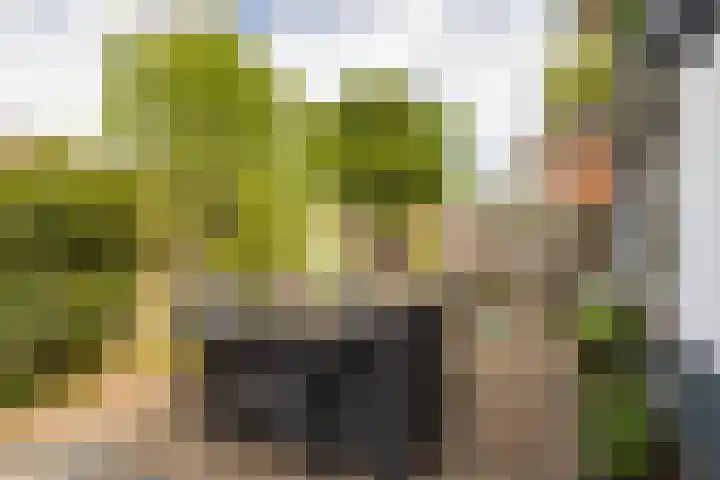 Angerensestraat 30 Gendt thumbnail 30