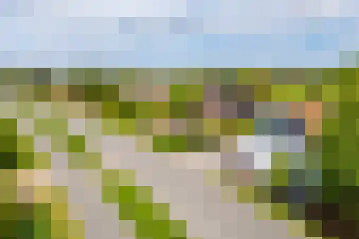 Angerensestraat 30 Gendt thumbnail 35