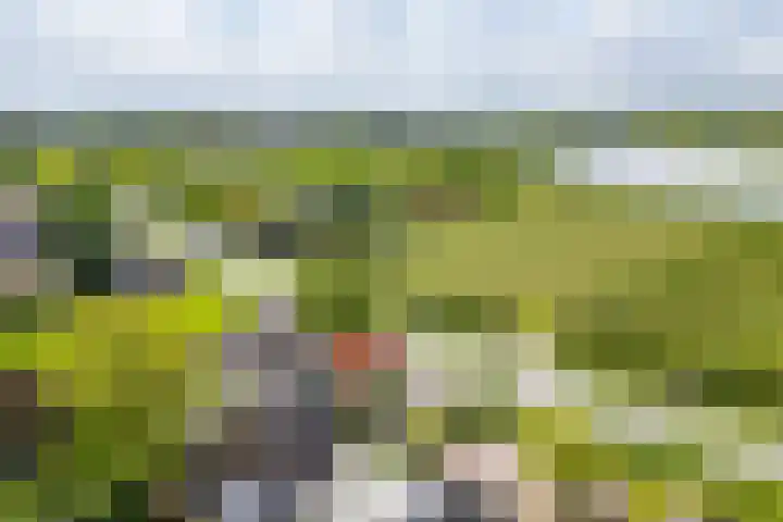 Angerensestraat 30 Gendt thumbnail 36
