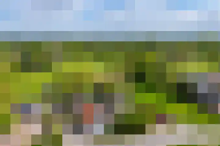 Angerensestraat 30 Gendt thumbnail 37