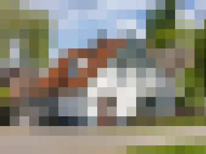Angerensestraat 30 Gendt thumbnail 40