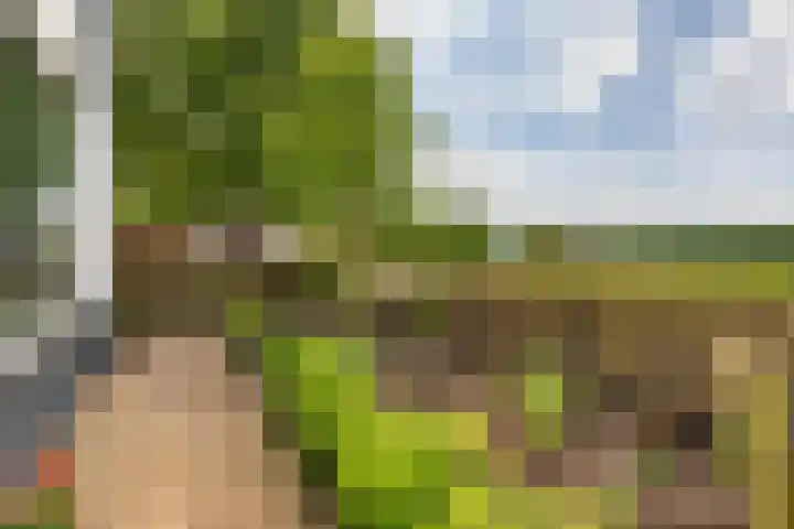 Angerensestraat 30 Gendt thumbnail 5