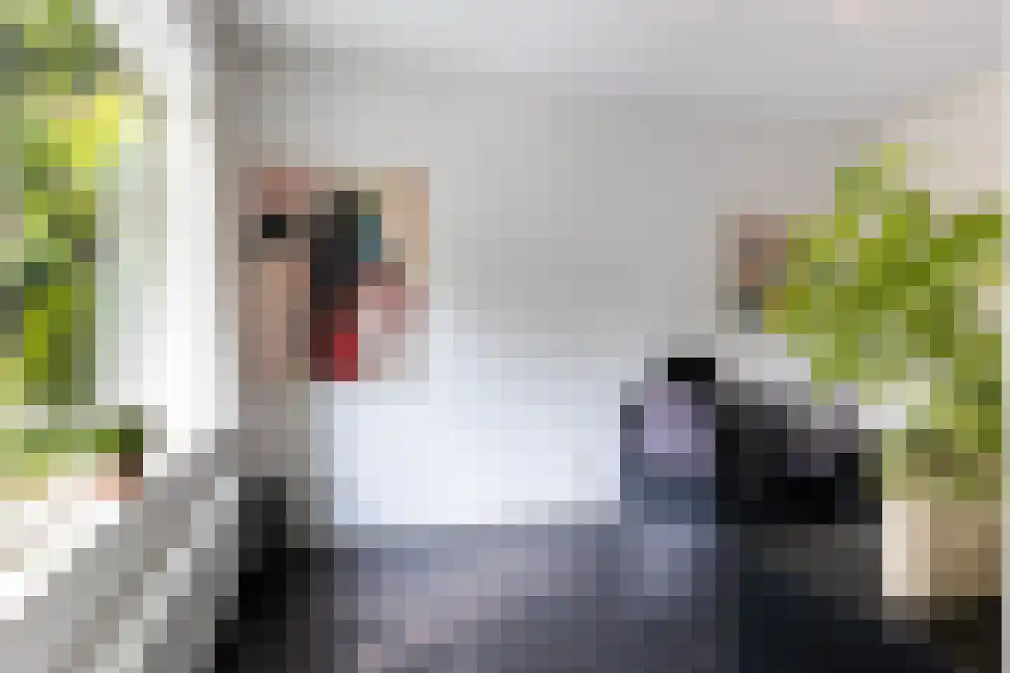 Angerenstein 18 Ugchelen thumbnail 26