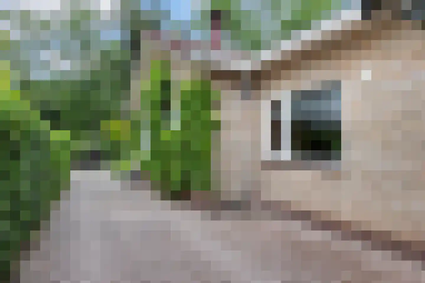 Angerenstein 18 Ugchelen thumbnail 39