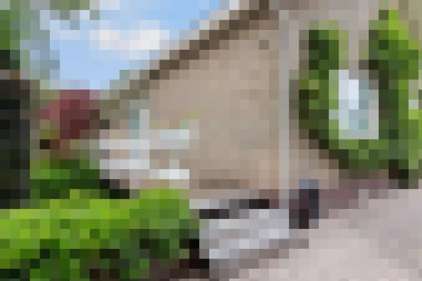 Angerenstein 18 Ugchelen thumbnail 40