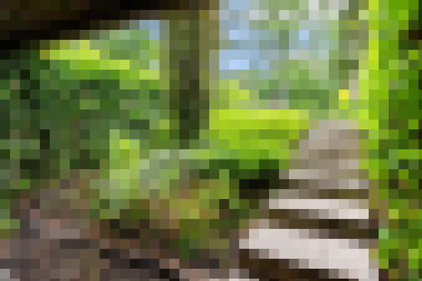 Angerenstein 18 Ugchelen thumbnail 44