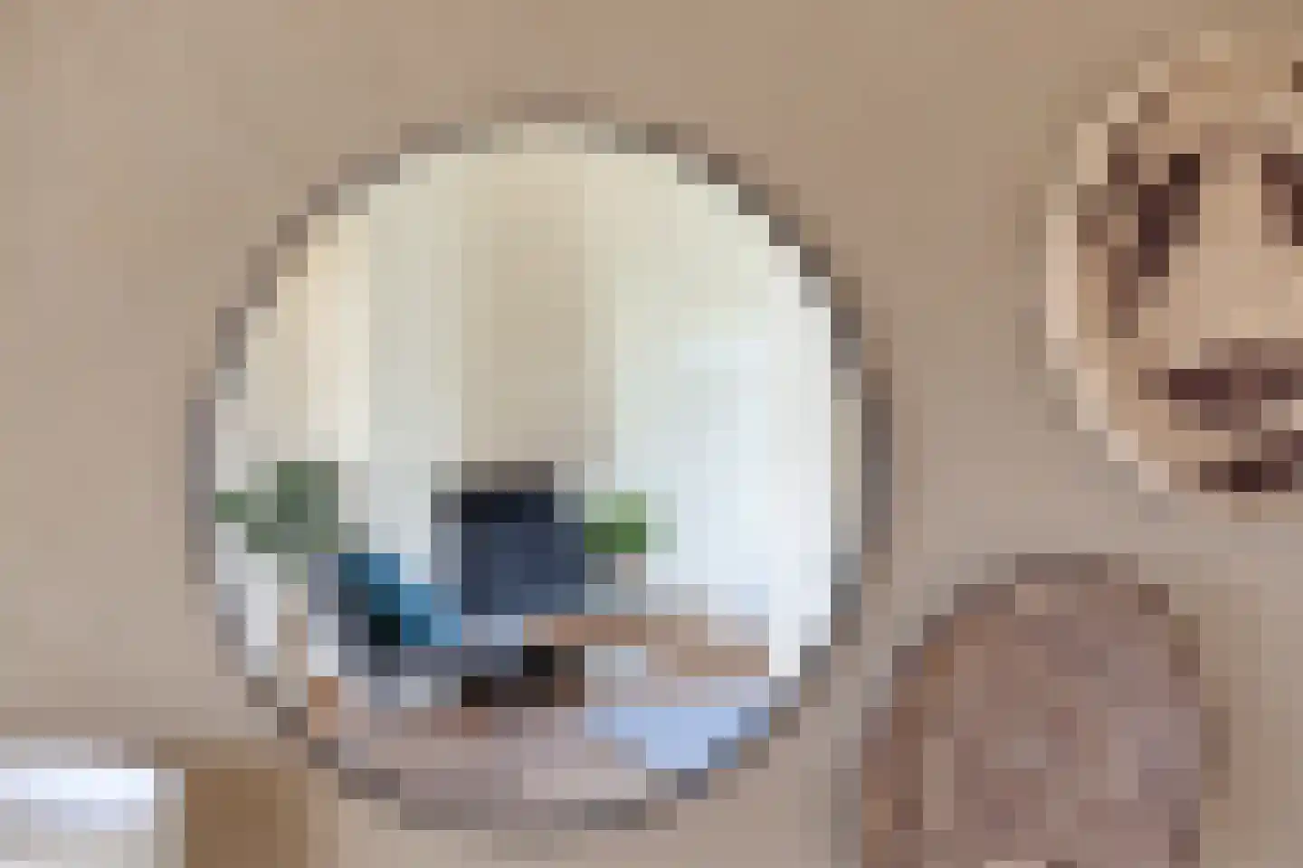 Angerenstein 3 Ugchelen thumbnail 12