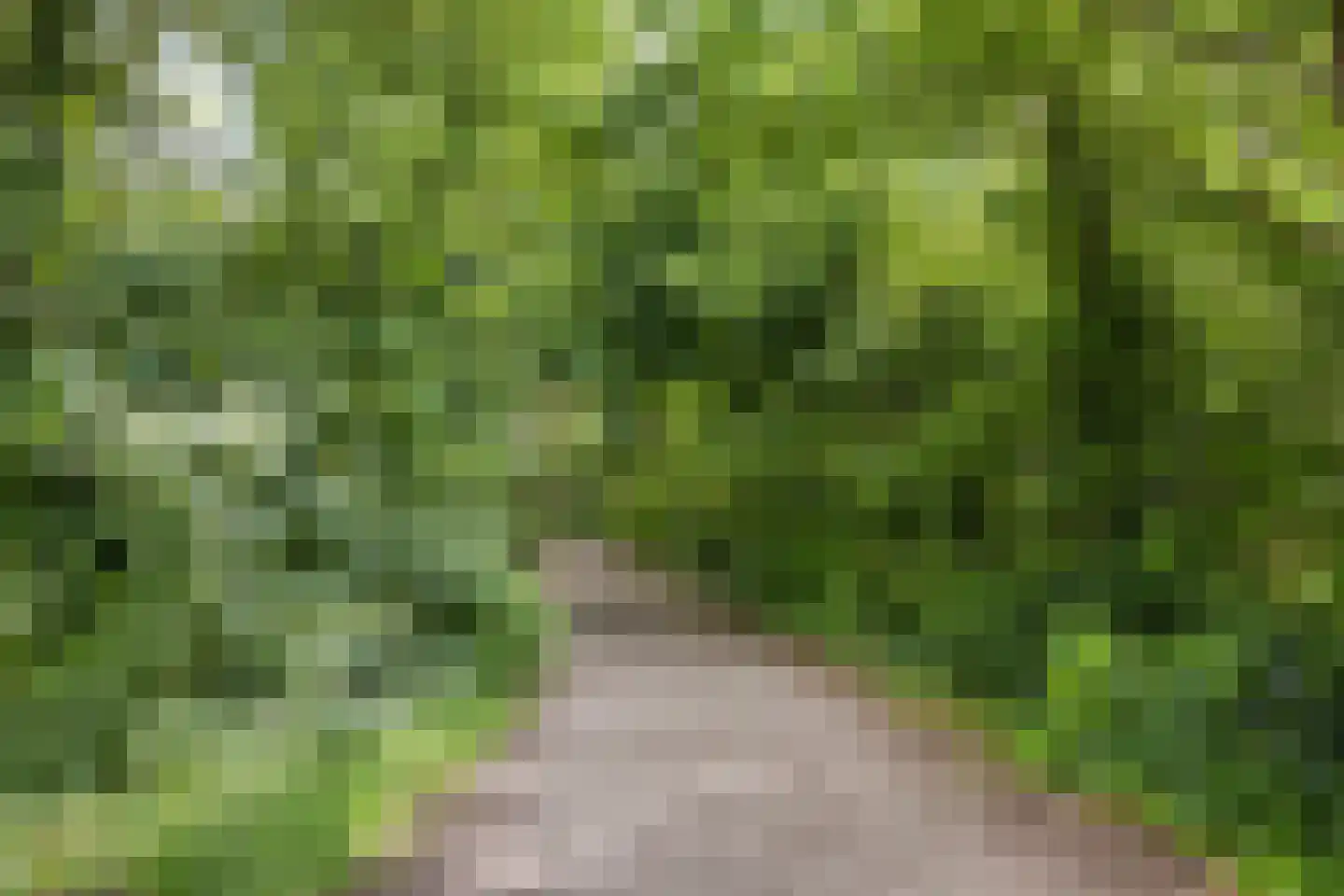Angerenstein 3 Ugchelen thumbnail 47