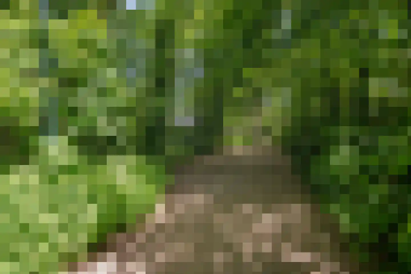 Angerenstein 3 Ugchelen thumbnail 50