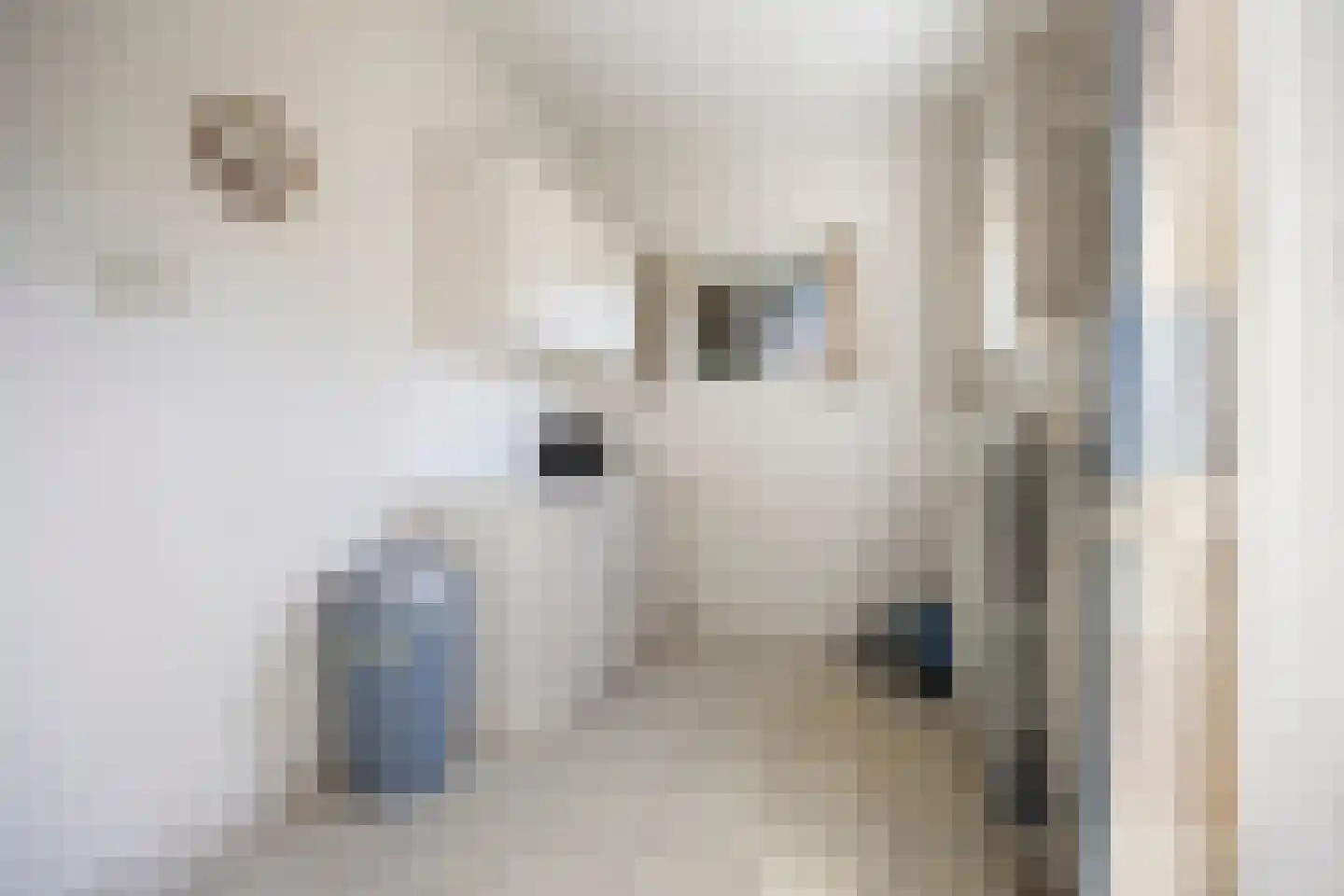Angerensteinstraat 1 Nijmegen thumbnail 10