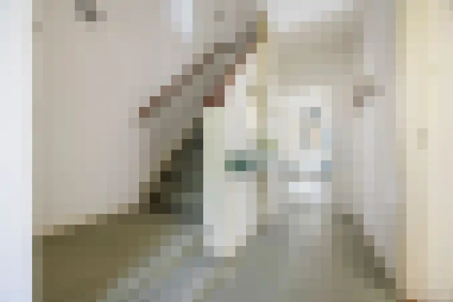 Angerensteinstraat 1 Nijmegen thumbnail 13