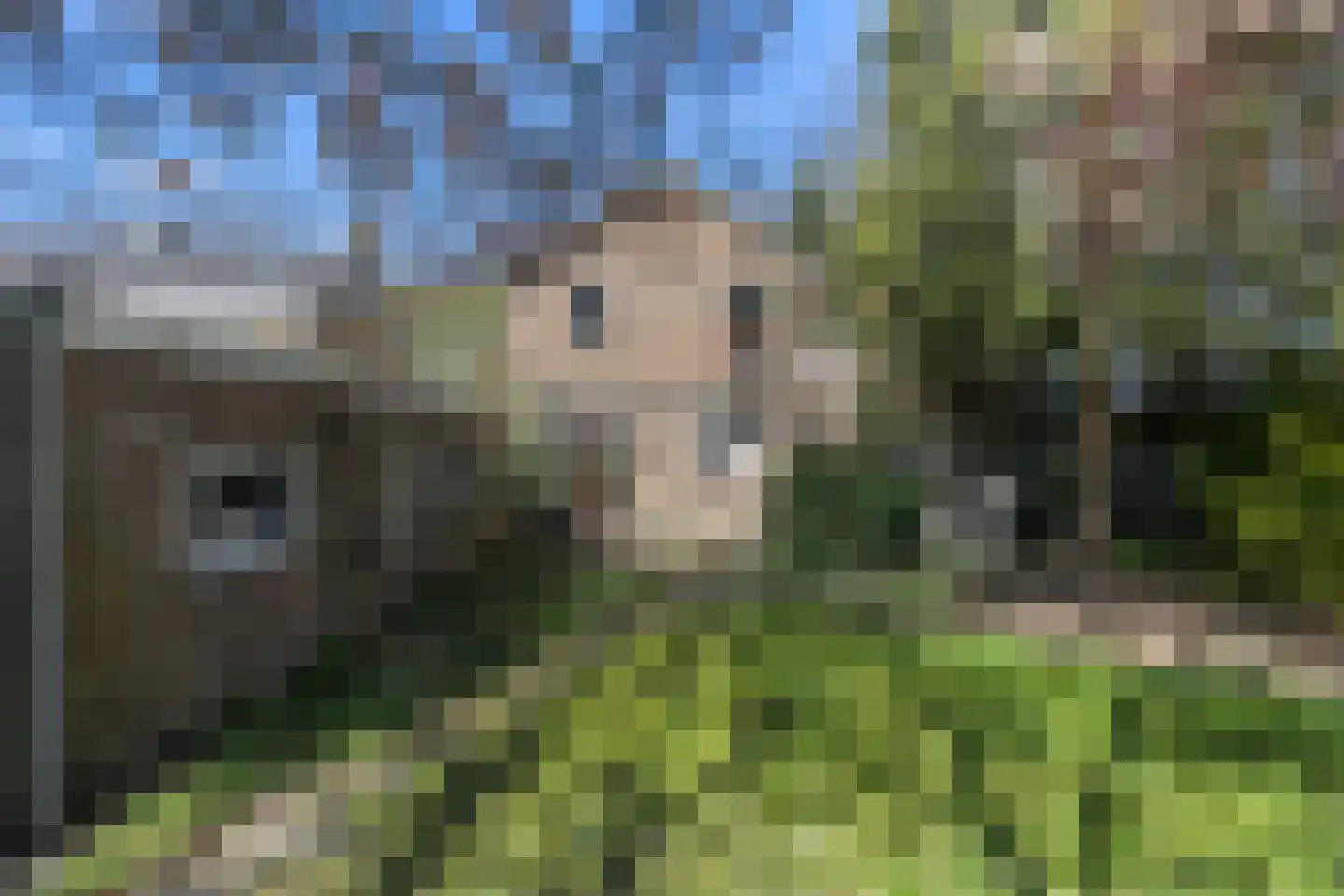Angerensteinstraat 1 Nijmegen thumbnail 21