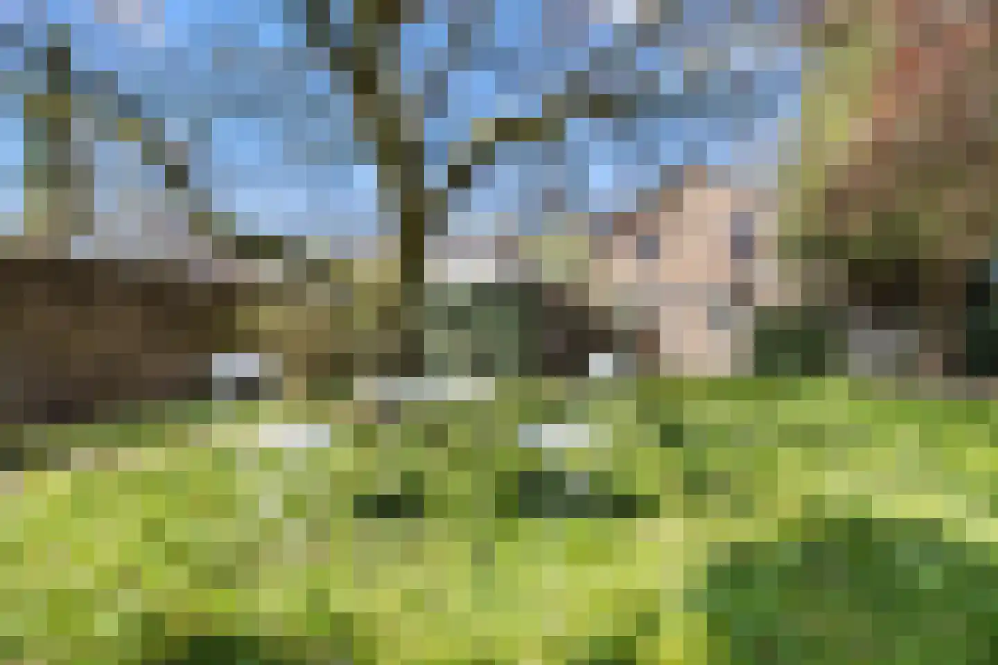 Angerensteinstraat 1 Nijmegen thumbnail 22