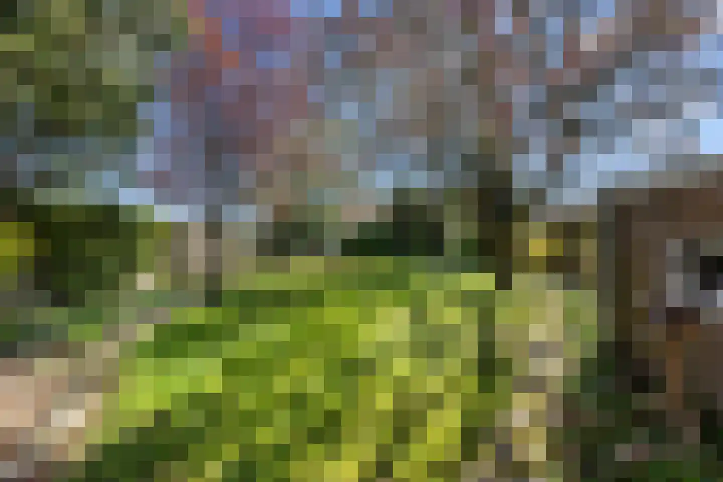 Angerensteinstraat 1 Nijmegen thumbnail 24