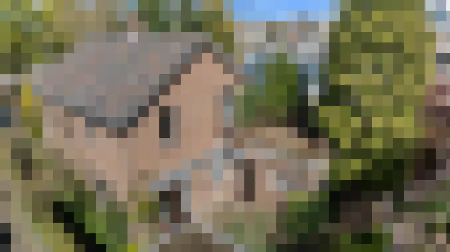 Angerensteinstraat 1 Nijmegen thumbnail 32