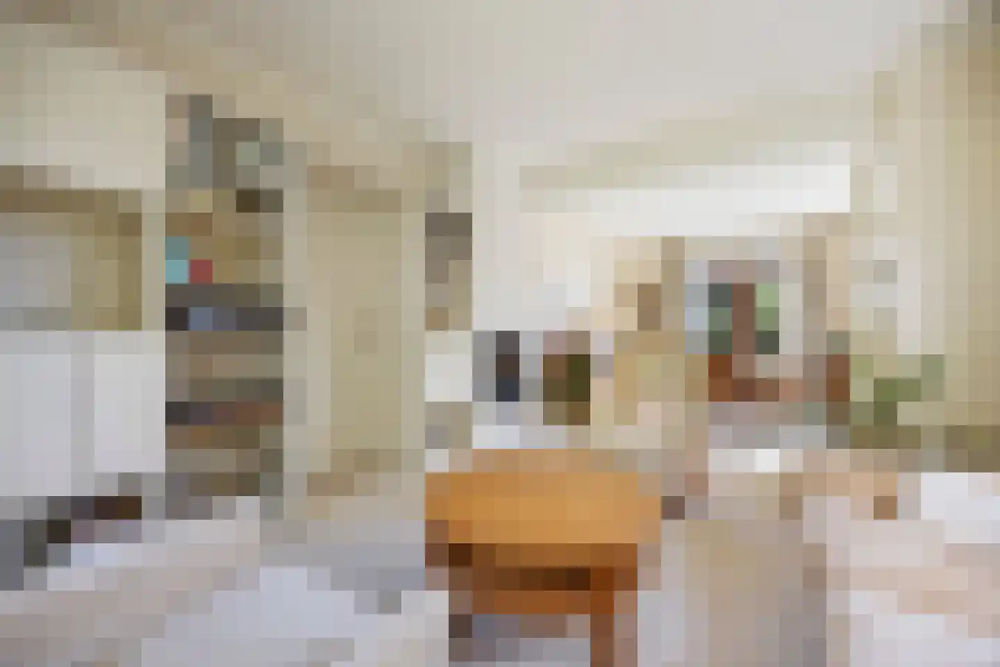 Angerensteinstraat 1 Nijmegen thumbnail 4