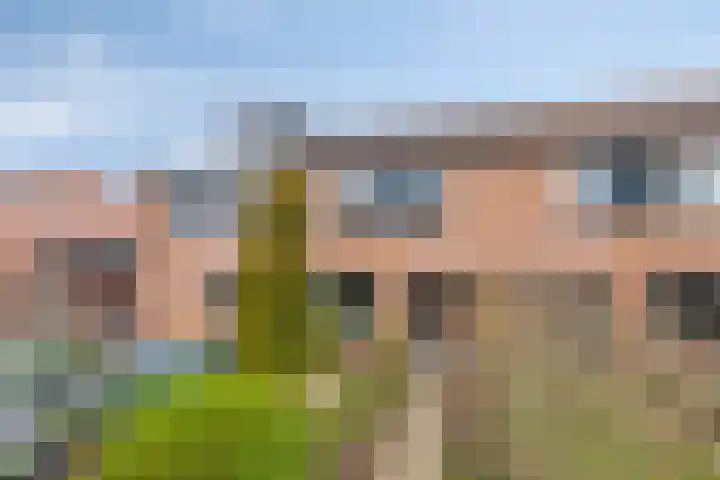 Angeroyen 6 Loo Gld